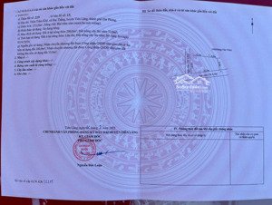 đất bố mẹ cho, không ở cần bán 253m2 lô góc, đường oto, thôn trâm khê, đại thắng, tiên lãng