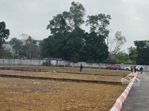 bán đất thổ cư diện tích 100m. sổ đỏ sẵnngiao dịch