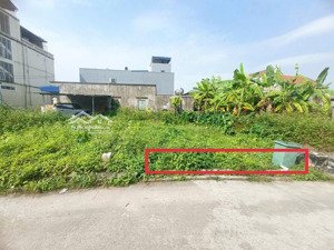 bán đất tại lâm động, thủy nguyên, hải phòng, 1,48 tỷ, 55,6 m2, hàng hiếm!