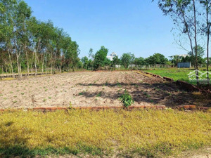 đất nền gần đường cầu cát lái, trung tâm xã. 650m2 khu dân cư, đường ô tô. giá 5.5tr/m2, sổ riêng