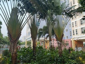 chính chủ bán căn hộ valeo đầm sen, 100m, 3 phòng ngủ, view hồ bơi, sổ hồng, 5.3 tỷ tuấn 