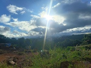 đất biệt thự đường hoàng hoa thám, p10, đà lạt. dt 219m2, view thông, đường ô tô. giá 4.5 tỷ