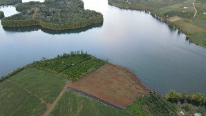 dì xoay vòng vốn không kịp bán lỗ sâu miếng 1000m2, view giáp mặt hồ chỉ 503 tr