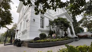 bán bt bằng lăng 500m2, hoàn thiện đẹp, sau ngã ba sông nội khu, gần vườn hoa công viên, giá 200 tỷ