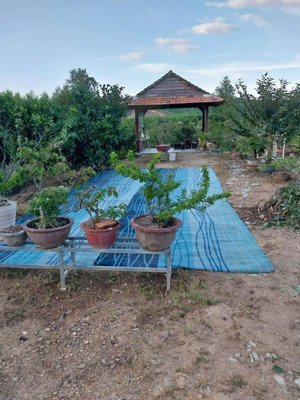 xây farm, trang trại nghĩ dưỡng, đất tại khánh phú, khánh vĩnh, khánh hòa, 2625.2 m2, full nội thất