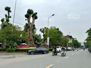 bán đất 136m2, 18 tỷ tại chính trung, trâu quỳ, gia lâm, hà nội