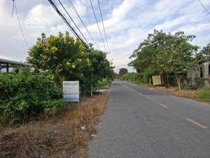 cần thanh lý gấp đất tại mặt tiền đường phú thuận- xã an nhơn tây , thành phố hồ chí minh