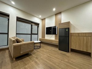 cho thuê chung cư mini ngay 58 phố đào tấn - ba đình