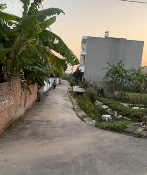 Bán đất 52,9m2 Đào Yêu An Dương Hải Phòng