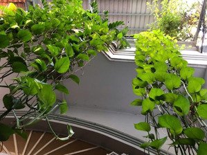 bán nhà chính chủ chưa qua đầu tư - 39m2 chỉ 4,7 tỷ