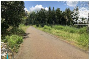 công ty đấu giá hợp danh đông nam thông báo đấu giá tài sản