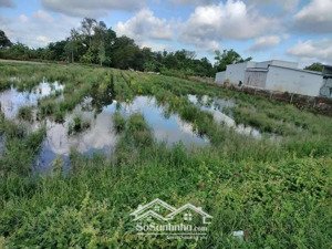 bán nhanh mảnh đất tcln nằm ngay mặt tiền ql 80 xã bình thành, lấp vò, đồng tháp