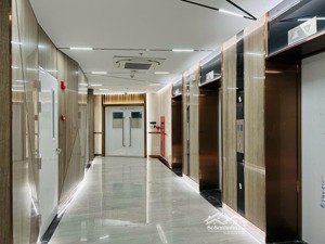 căn góc 85m2, 2pn, full nội thất alnata plus! độc quyền kèm chỗ đậu xe. 7.25 tỷ bao thuế!