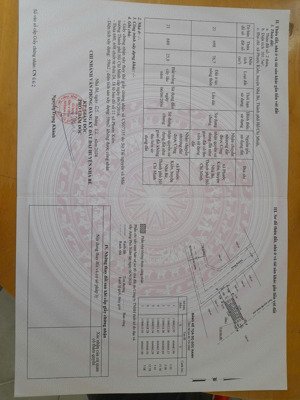 bán nhà mặt phố trần thị liền, 9,5 tỷ, 100m2, pháp lý đầy đủ, nhà bè, hcm