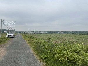 chủ cần tiền bán nhanh lô đất giá rẻ. lh 