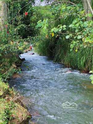 860 triệu/ 1.009m sổ hồng riêng gần ql20 (đồng nai)