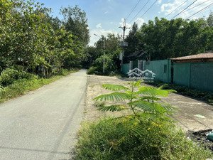 bán lô đất vườn 2 mt đường nhựa tăng thị hội, dt 4917m2, xã an nhơn tây