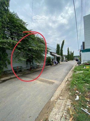 bán gấp lô đất kdc gò dưa tam bình đường 7m. đầu tuyến vành đai 2