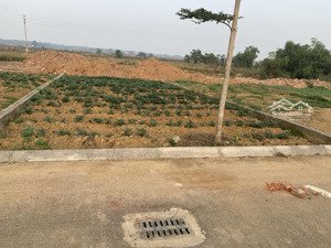 bán đất đồng trúc 3100 m2 giá 23 triệu 1 m2