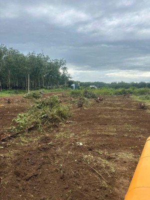 3,6 sào đất view suối tại tx. bình long - sẵn thổ cư - phong thủy đẹp