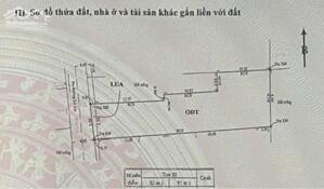 BÁN ĐẤT ĐƯỜNG XE TẢI 8M – LÒ LU – 225m² (5.3m x 30m) – NỞ HẬU 8.66m TÀI LỘC