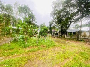 cần bán gấp đất giá rẻ - 164m2 thủy xuân huế chỉ với 1 tỷ 950 hàng hiếm.