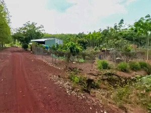 đất đồng phú gần kcn 4200ha - ngang 26m mặt tiền 1040m2 - đường 12m giá 550 triệu