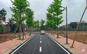 bán đất khu đấu giá chợ tình 11 lô đất xuân hòa, phú thọ (ngọc thanh, phúc yên, vĩnh phúc cũ)