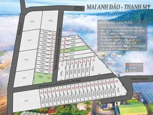 cơ hội hiếm vùng ven đà lạt 47 nền sổ riêng, giá chỉ từ 630 triệu