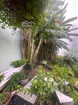 bán đất mặt tiền 20m, 82m2, sổ hồng riêng,xây dựng 1 trệt 2 lầu +sth, khu dân cư lê bôi phường 7 q8