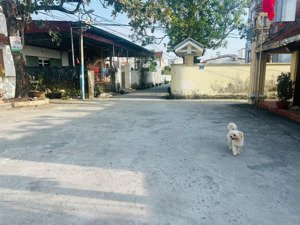 đất diện tích lớn 329m2 ngang 15m giá chỉ quanh 7tr/m2 - vị trí nam đồ sơn khu dân cư hiện hữu