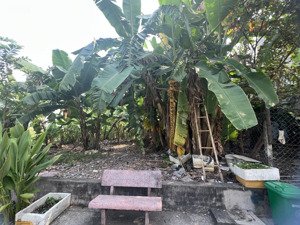 đất full thổ cư - hẻm xe hơi - thạnh lộc 31, q12 - 232m2 - 11,5 tỷ