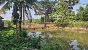 bán đất trang trại long bình tân diện tích 1ha giá chỉ 30 tỷ, 10.139m2 có 89m mặt tiền bám đường