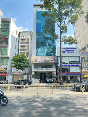 mua là lời ngay! building góc mt trần hưng đạo, q1, 8x16m, 8 tầng + hầm, hđt: 225 triệu, giá 68 tỷ