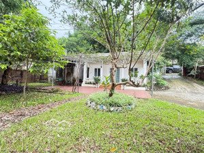 mảnh đất nghỉ dưỡng mặt đường nhựa có thể khai thác dòng tiền - vị trí gần cổng vườn quốc gia ba vì