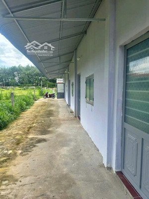 cần bán gấp dãy trọ đường suối lội, củ chi 150m2 ngay cạnh văn phòng ấp. shr