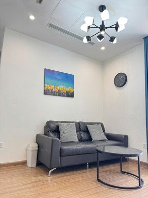 cho thuê cc vinhomes skylake, 20 triệu, 50m2, 1pn, 1wc, giá ưu đãi