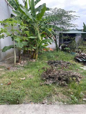 chính chủ bán rẻ 115m2 đất ở hẻm ô tô đường đoàn nguyễn tuấn xã hưng long, bình chánh, giá 2,1 tỷ.