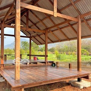 chủ cần tiền nên nhượng lại gấp mảnh vườn xoài tại định quán đồng nai, khu vực nhà đồi cao ráo