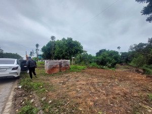 bán đất đấu giá hay đất phân lô