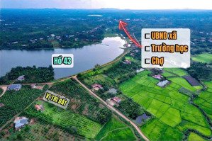ea ning- cưkuin view giáp hồ đội 43 sau đất chill cánh đồng vị trí quá đẹp để đầu tư và xây nhà