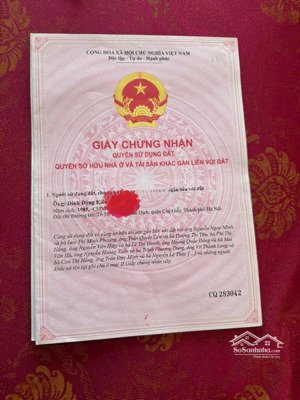 bán ccmn phạm ngọc thạch, xã đàn - có sổ từng căn thoáng đẹp mới