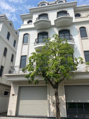 cắt lỗ gấp liền kề 58.5m vin op2. cạnh công viên, gần vincom và toà văn phòng. lh:0979106866