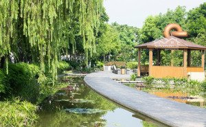 chính chủ gửi bán full quỹ căn liền kề, biệt thự kđt splendora an khánh - mailand hanoi city