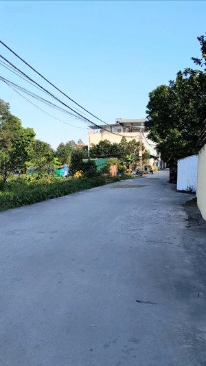 bán đất ở thôn đại định, trung tâm xã tam hưng, dt 67m2 lô góc ba thoáng, ô tô, hàng hiếm giá rẻ