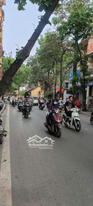 hiếm mặt phố thụy khuê diện tích lớn 365m2, giá nhỉnh 200tr/m2