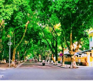 siêu phẩm phan đình phùng- nhà mới đẹp-6 tầng-ngõ ô tô-pháp lý chuẩn-an cư đỉnh-khai thác homes