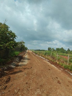 bán đất đẹp tại xã hoà đông, krông pắc, đắk lắk, 1,6 tỷ, 3000m2