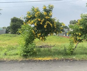 ngộp hàng hiếm khu biệt thự 3,3tỷ 254m2 cách biển long hải 2km đường nhựa