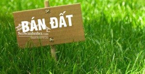 bán đất lạc long quân, phù hợp xây ccmn, ngõ rộng 2m thoáng sáng, 55m2, mặt tiền 5m, giá chỉ 9.5 tỷ